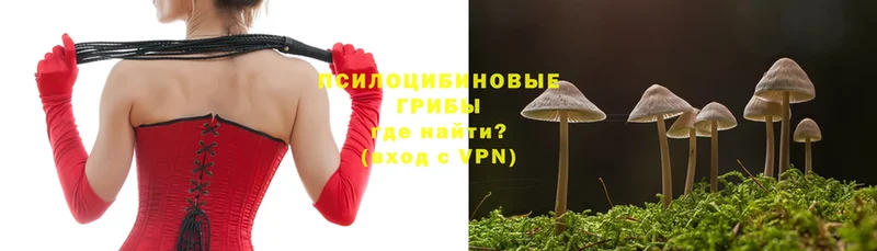 Галлюциногенные грибы MAGIC MUSHROOMS  где продают   Истра 